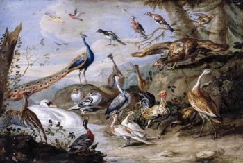 Birds on a Riverbank